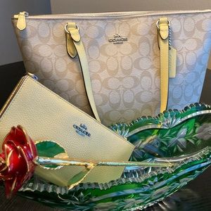 Pretty Coach Purse and Wallet Set